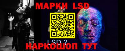 PSILOCYBIN Малоярославец