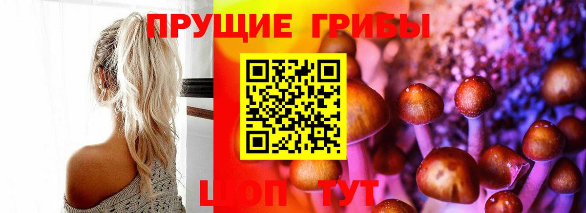 Галлюциногенные грибы Cubensis  Вход с VPN  Всеволожск 